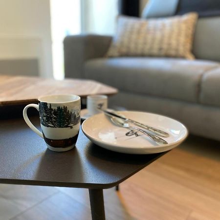 Plein Centre, T3 5P Totalement Renove 55M2. Wifi Διαμέρισμα Cauterets Εξωτερικό φωτογραφία